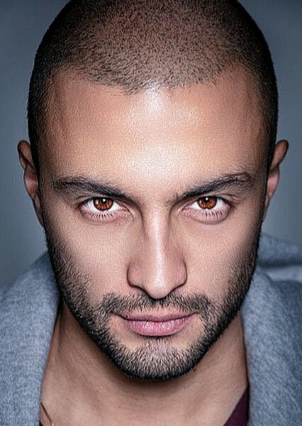 Amir Jadidi photo