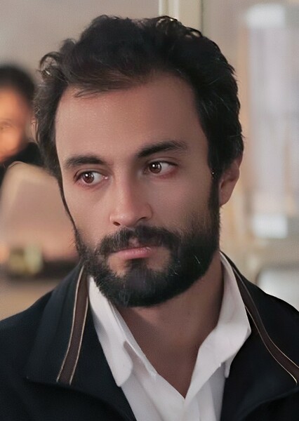 Amir Jadidi photo