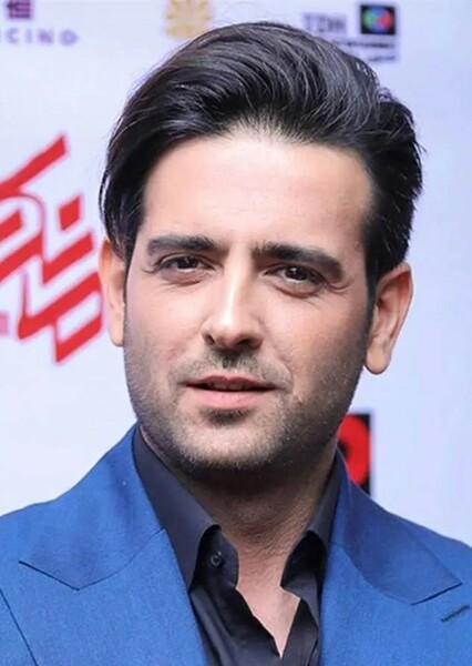 Amirhossein Arman photo