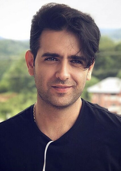 Amirhossein Arman photo