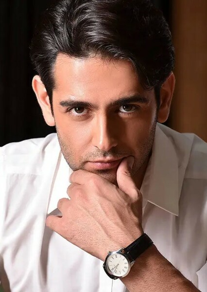 Amirhossein Arman photo
