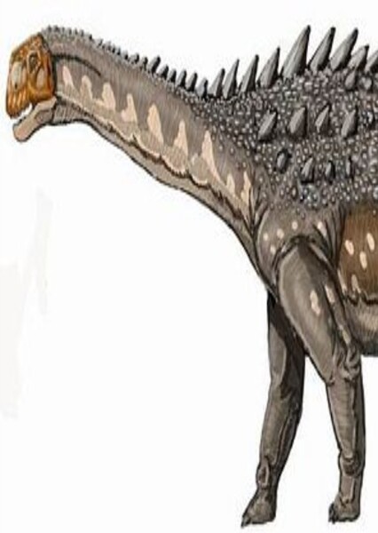 Ampelosaurus photo