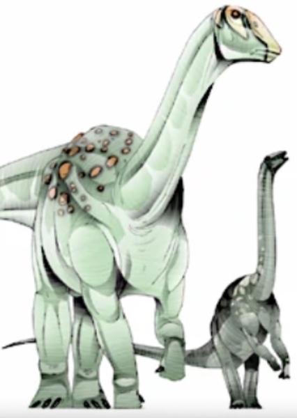 Ampelosaurus photo