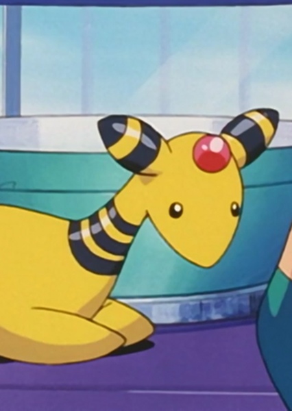 Ampharos photo