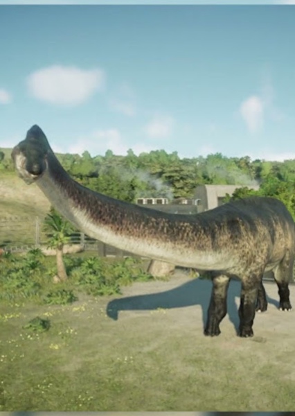 Amphicoelias photo