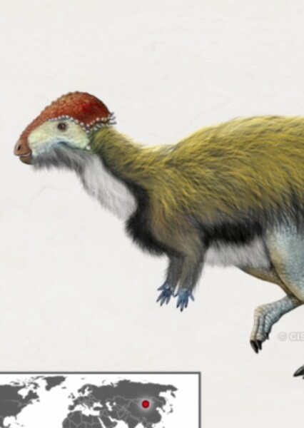 Amtocephale