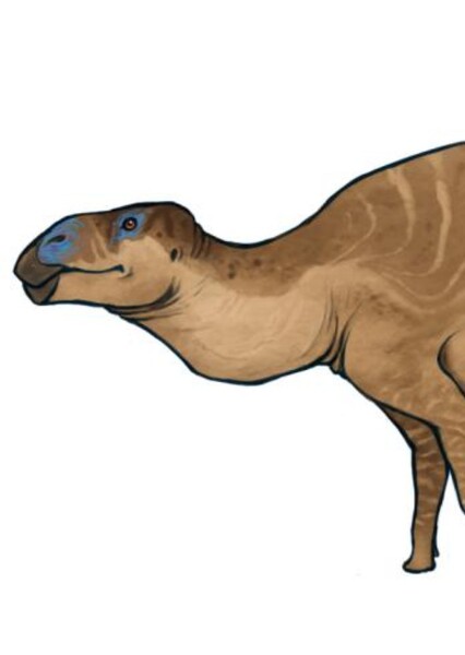 Amtosaurus