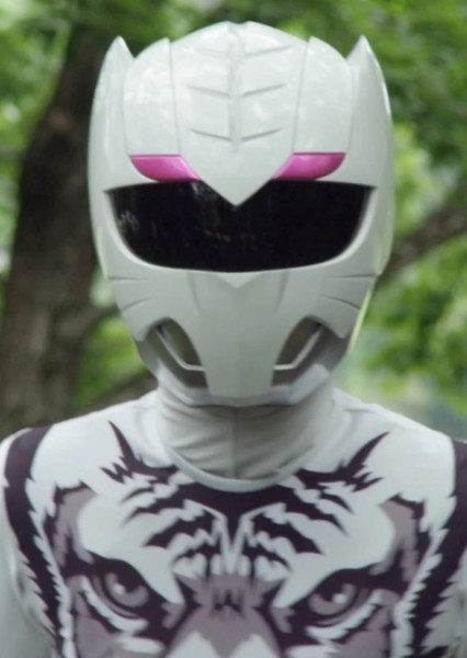 Amu/Zyuoh Tiger photo