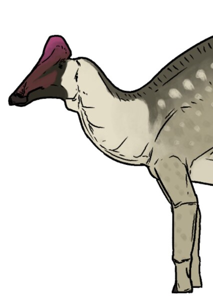 Amurosaurus photo