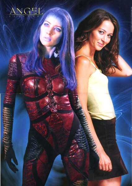 Amy Acker photo