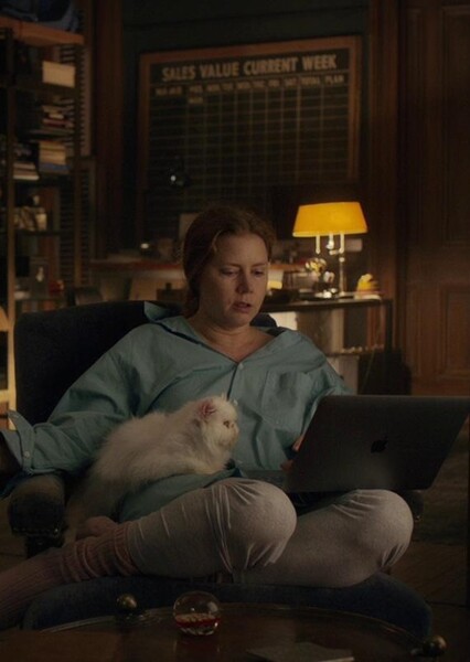 Amy Adams photo