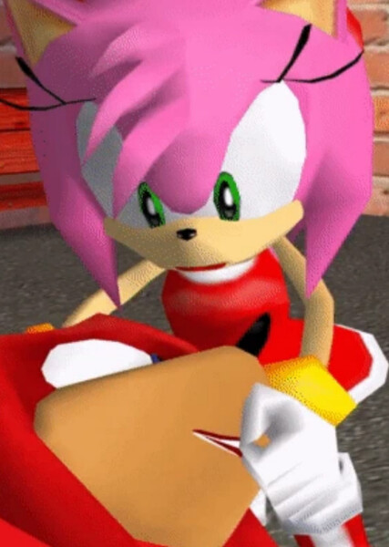 Amy and Knuckles photo