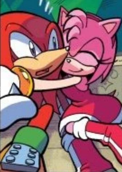 Amy and Knuckles photo