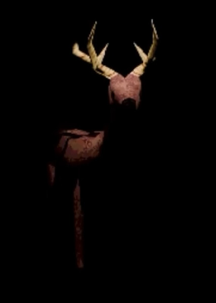 Amy Linden photo