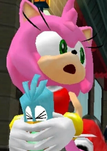 Amy Rose photo