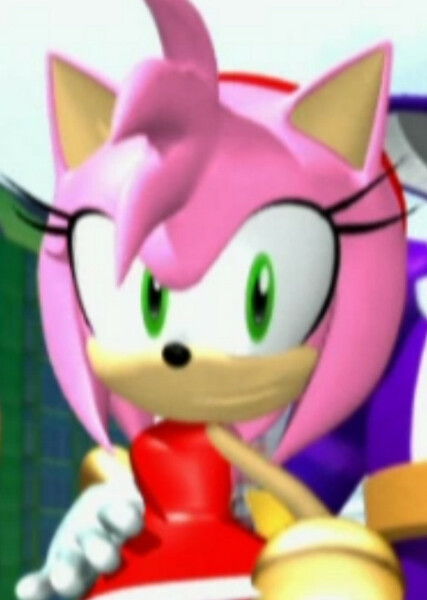 Amy Rose photo