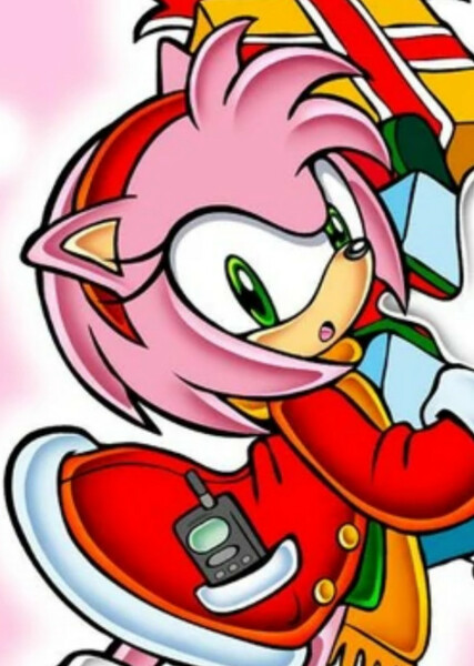 Amy Rose photo