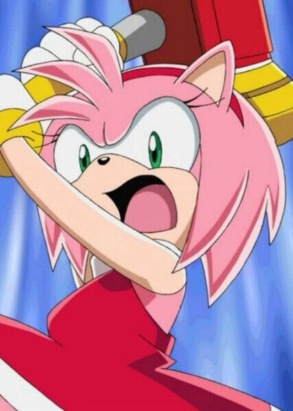 Amy Rose photo