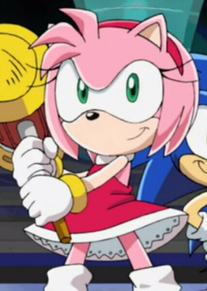 Amy Rose photo