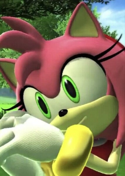 Amy Rose photo