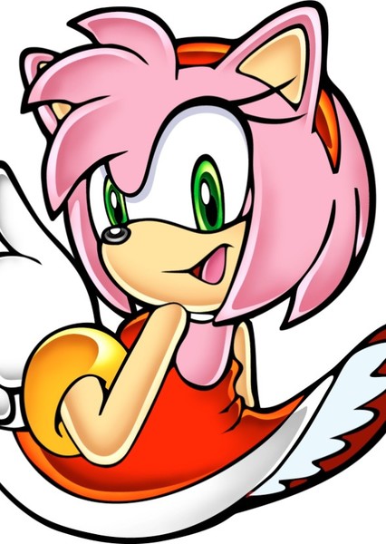 Amy Rose photo