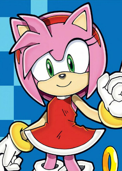 Amy Rose photo