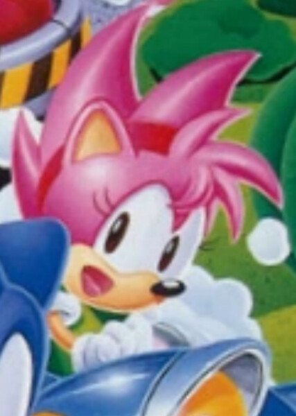 Amy Rose (Classic) photo