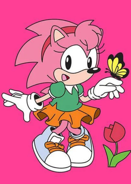 Amy Rose (Classic) photo