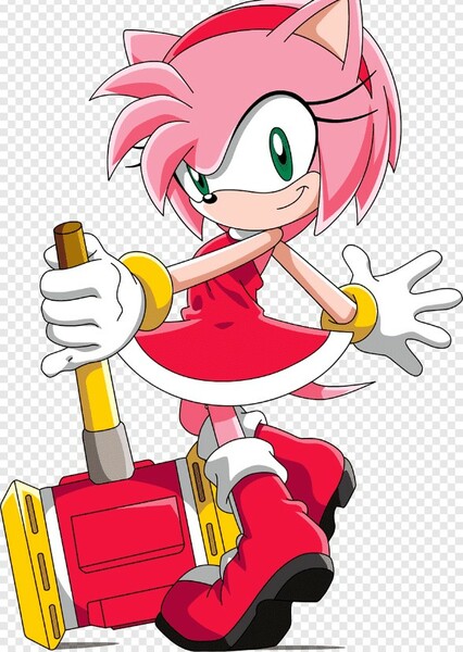Amy Rose (Sonic X) photo