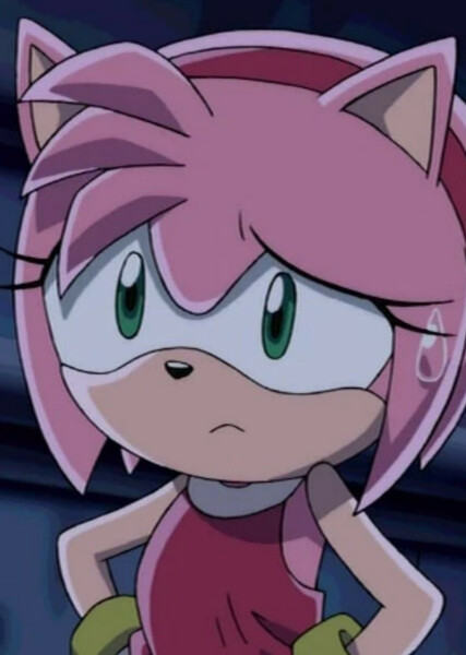Amy Rose (Sonic X) photo