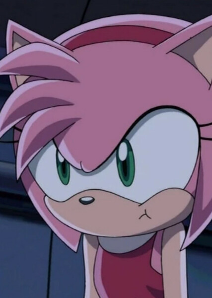 Amy Rose (Sonic X) photo