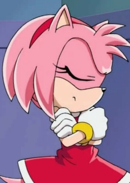 Amy Rose (Sonic X) photo