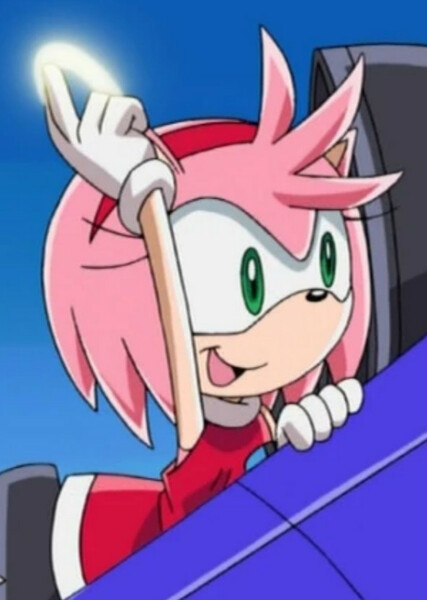 Amy Rose (Sonic X) photo