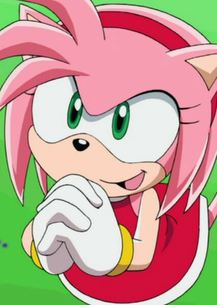 Amy Rose (Sonic X) photo