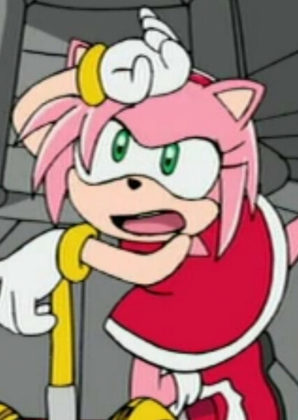Amy Rose (Sonic X) photo