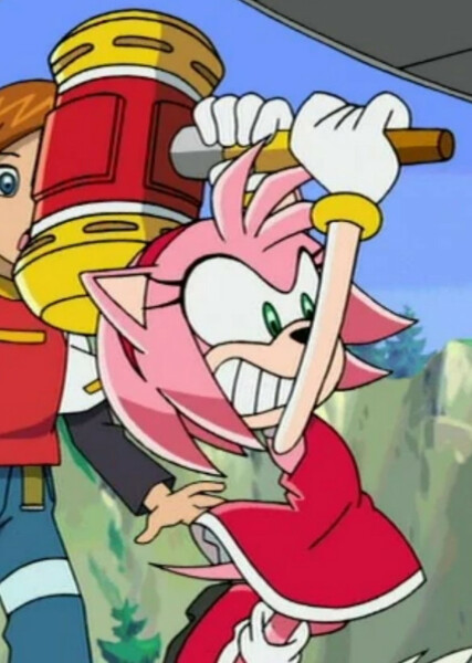 Amy Rose (Sonic X) photo