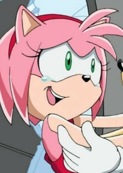 Amy Rose (Sonic X) photo