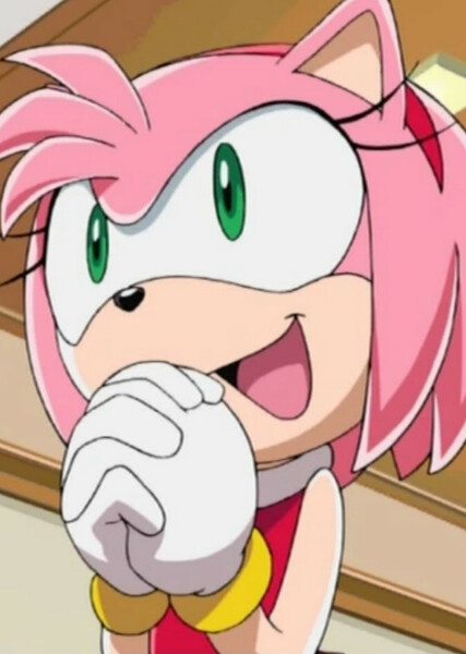 Amy Rose (Sonic X) photo