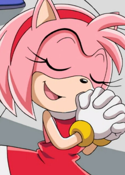 Amy Rose (Sonic X) photo