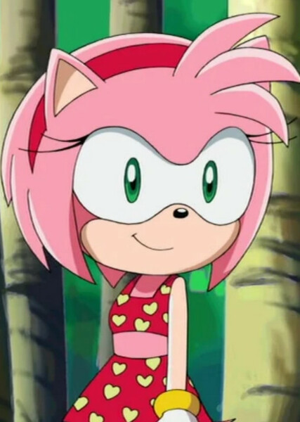 Amy Rose (Sonic X) photo