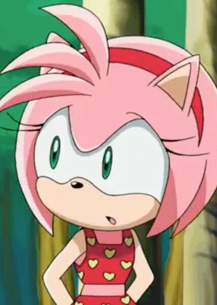 Amy Rose (Sonic X) photo