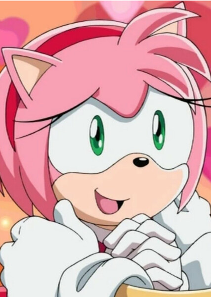 Amy Rose (Sonic X) photo