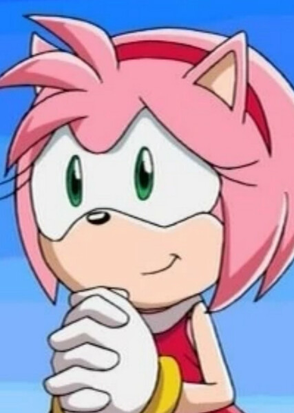 Amy Rose (Sonic X) photo