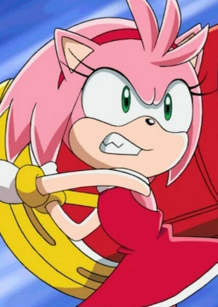 Amy Rose (Sonic X) photo