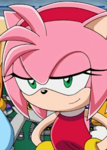 Amy Rose (Sonic X) photo
