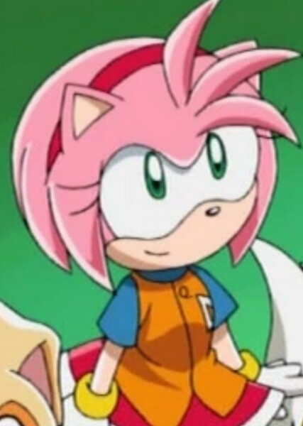 Amy Rose (Sonic X) photo