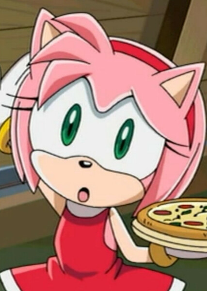 Amy Rose (Sonic X) photo