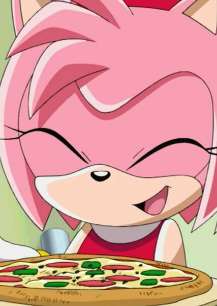 Amy Rose (Sonic X) photo