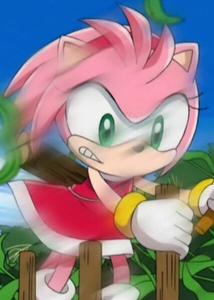Amy Rose (Sonic X) photo