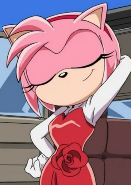 Amy Rose (Sonic X) photo
